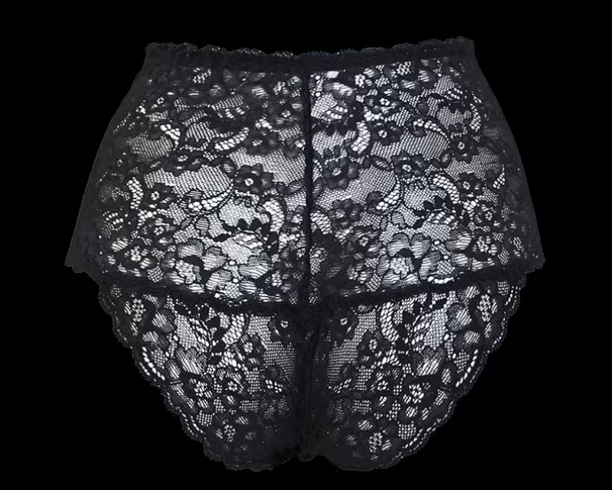 Sale Anekdot New Moon High Panties