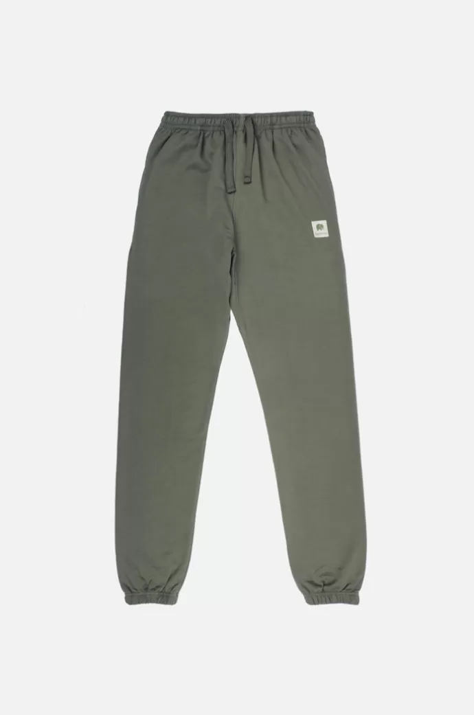 Store Trendsplant Women'S X Equilibrium Icons Sweatpants Kelp